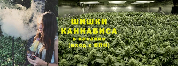 МДМА Бородино