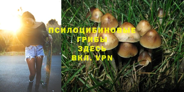 МДМА Бородино