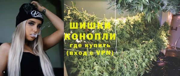 МДМА Бородино