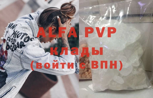 СК Бронницы