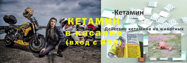СК Бронницы