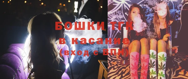 СК Бронницы