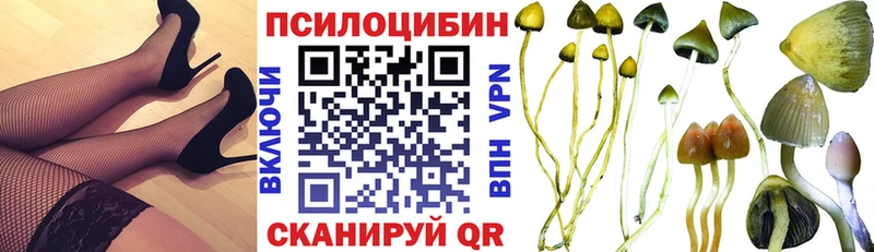 Псилоцибиновые грибы мухоморы  hydra маркетплейс  Шахты 